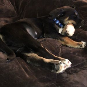 Meet your Posher, Lance